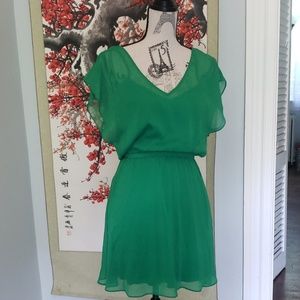 Kelly Green Express Dress